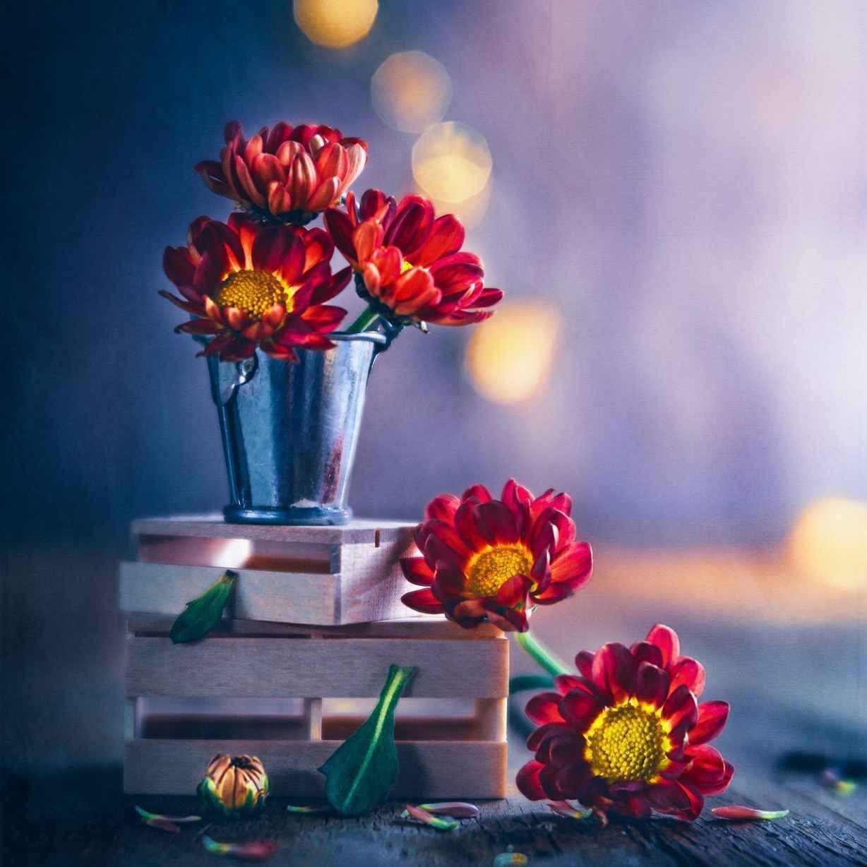 آهنگ جدید این الکل لامصب نمیتونه تورو ببره از یادم